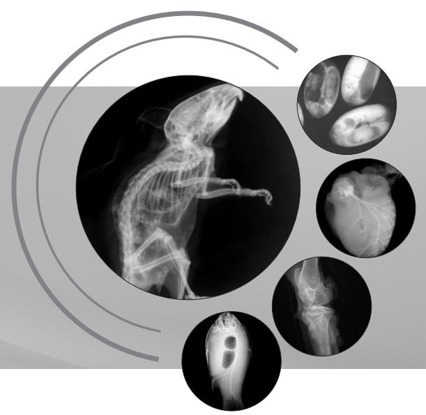 生命科學(xué)研究、小動(dòng)物、種子檢測(cè)