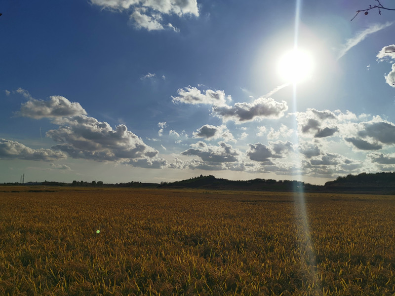 風(fēng)光類 謝曉燕—田野掠影 (2)_副本.jpg 風(fēng)光類 謝曉燕—田野掠影 (2)_副本.jpg